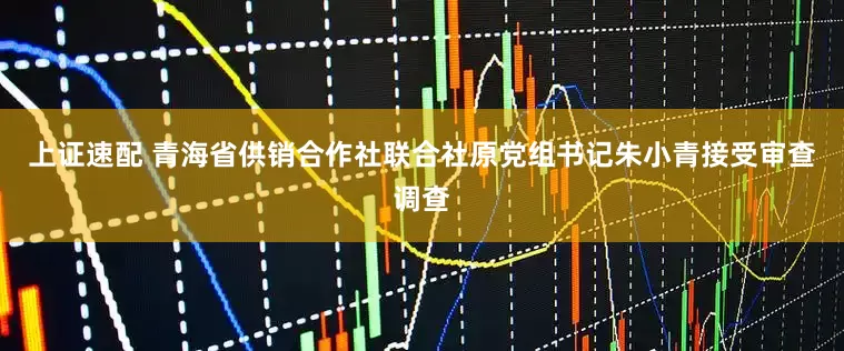 上证速配 青海省供销合作社联合社原党组书记朱小青接受审查调查
